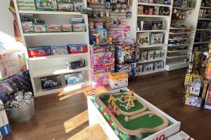 Arvine Toy's Shop 3 Arvine Toy’s Shop
