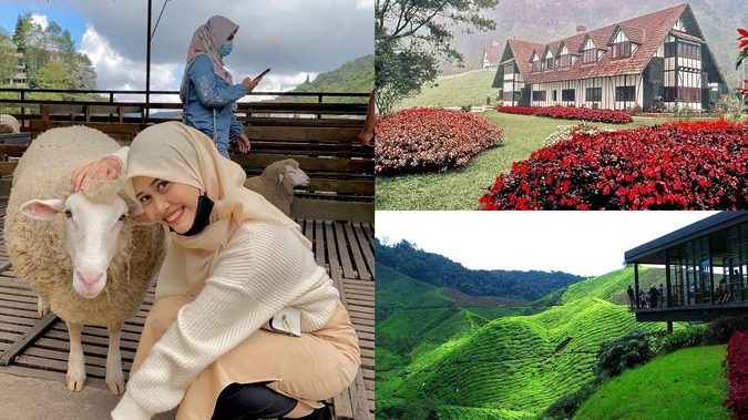 panduan lengkap kedai game di cameron highlands malaysia tempat harga