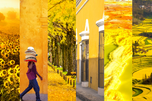 Yellow Place 7 Yellow Place